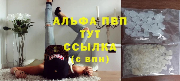 ПСИЛОЦИБИНОВЫЕ ГРИБЫ Богданович