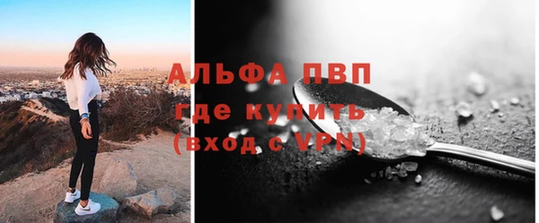 спиды Богородицк