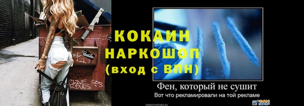 спиды Богородицк