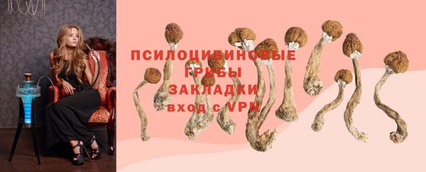 ПСИЛОЦИБИНОВЫЕ ГРИБЫ Богданович