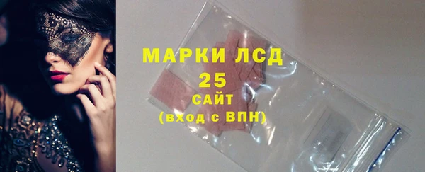 спиды Богородицк