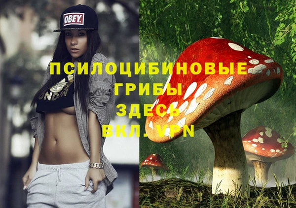 спиды Богородицк