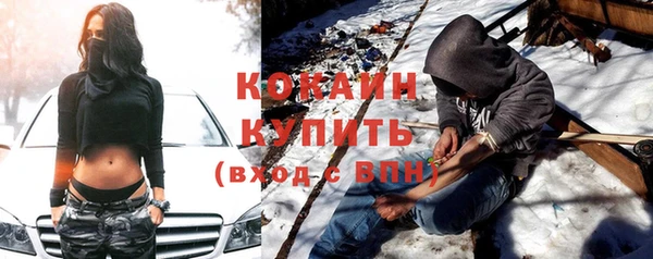 ПСИЛОЦИБИНОВЫЕ ГРИБЫ Богданович