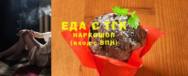 спиды Богородицк