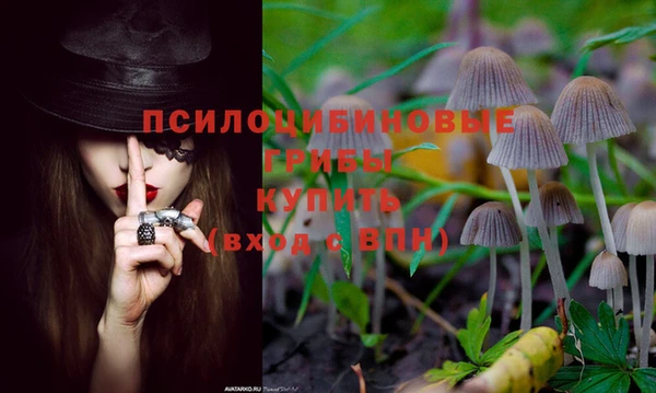 спиды Богородицк