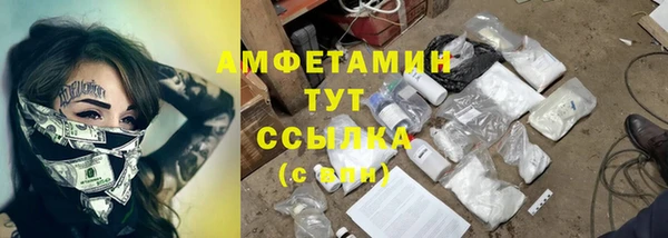 спиды Богородицк
