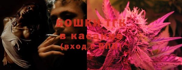 спиды Богородицк