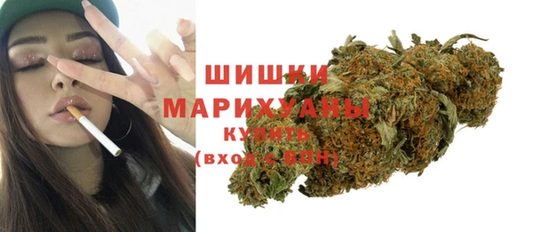 спиды Богородицк